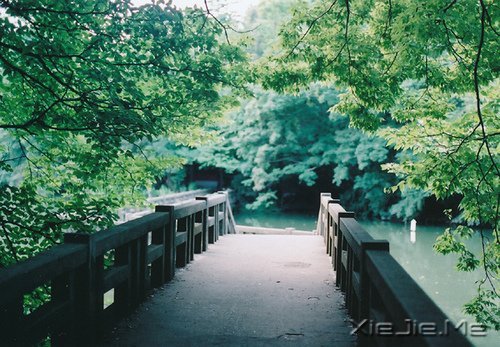 早安心语：过去的就过去了，世界依然美好 (2)